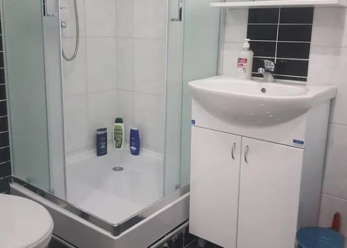 Апартаменты Apartmani Loznica *